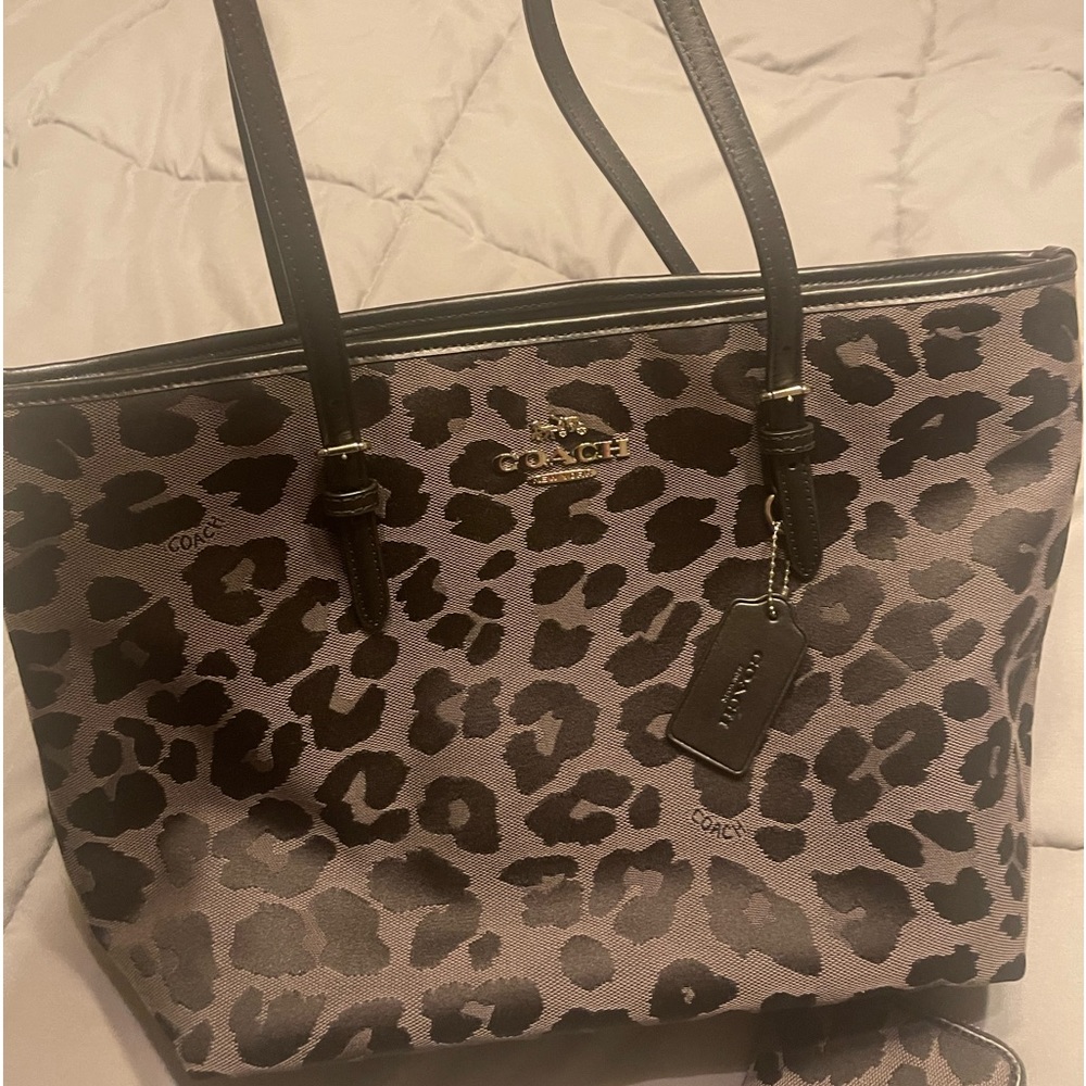 Coach purse and matching wallet with dust bag